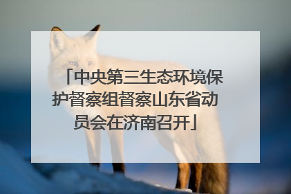 中央第三生态环境保护督察组督察山东省动员会在济南召开